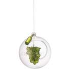   Winery Green Grapes in Cheers Clear Glass Ball Christmas Ornament