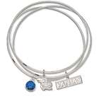 Blue Bangle Set  