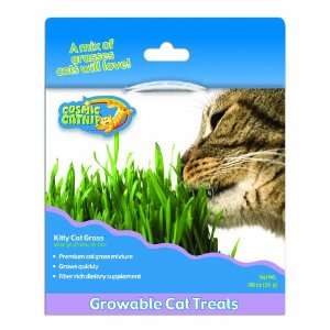  Cosmic Cosmic Kitty Cat Grass Kit
