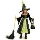   Paradise Rose Witch Child Costume / Black/Green   Size X Large (12