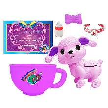 Teacup Doggies Litter   Camille   Toy Teck   