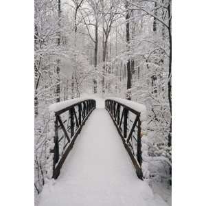   , Snowcovered Footbridge, 20 x 30 Poster Print