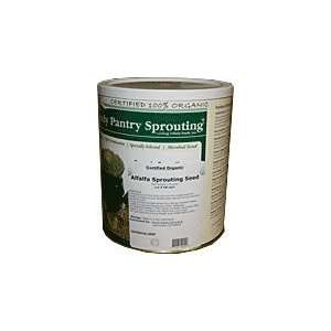 Emergency Food Survival Seed Alfalfa Sprouting Seeds (Raw, Organic) 5 