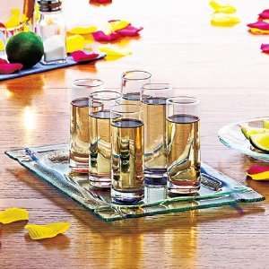  Magnetic Shot Glass Set with Tray No Spill Kitchen 
