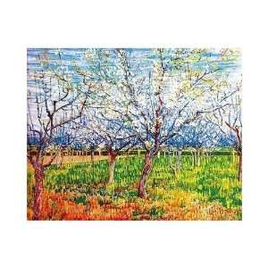  Orchard    Print