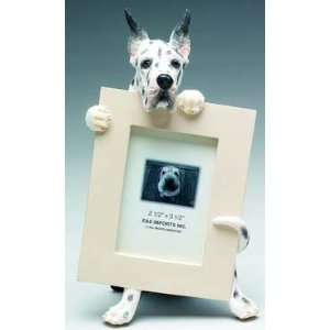  Great Dane (Harlequin) 2.5x3.5 Picture Frame