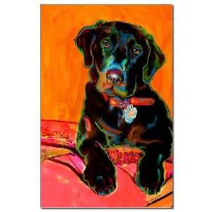   Retriever Dogs Mini Poster Print by  Patio, Lawn & Garden