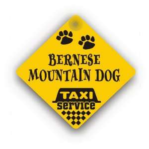  Bernese Mountain Dog Taxi Service 