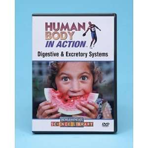 Human Body in Action Digestive and Excretory Systems DVD  