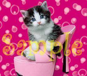 KITTEN IN PINK HIGH HEEL SHOE Italian Charm cat kitty  