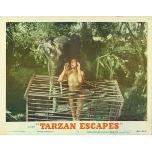  Tarzan Escapes   Movie Poster   11 x 17