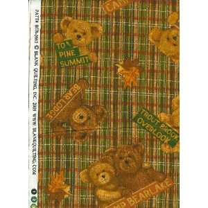  Quilting Bear Lake Teddy Bears on Green Brown Plaid 5665 Olive Quilt 
