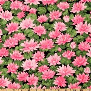  44 Wide Timeless Treasures Water Lily Pink Fabric By The 