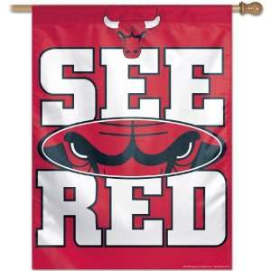   Chicago Bulls See Red 27X37 Vertical Flag 27 X 37