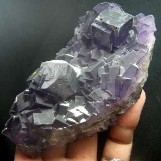 Purple Fluorite Cubic Crystal Cluster flyn9ie0128  