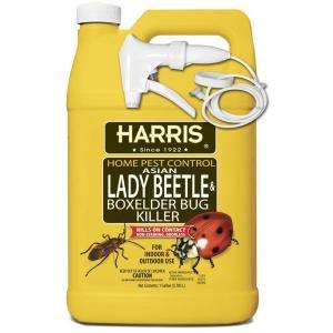Harris 1 Gal. Asian Lady Beetle and Box Elder Bug Killer HBXA 128 at 