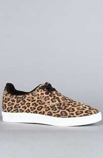 Gourmet The Cinque 2 L Sneaker in Animal  Karmaloop   Global 