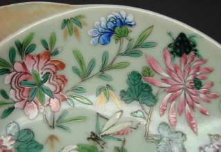 19th C . Chinese Famille Rose Floral Birds Shrimp Dish  