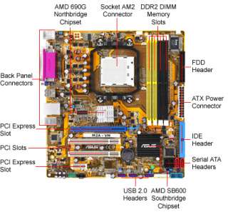 amd64 technology because of our strong relationship with amd asus 