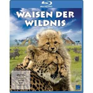 Waisen der Wildnis [Blu ray]  Olivia Mokiejewski Filme 