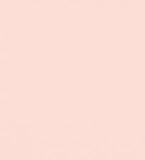   5L Farbe COMPOSITION Farbton Dance Rosa Pastell Seidenglanz 4,60 €/L