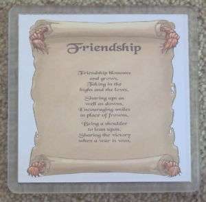 Best Special Friend Friendship Gift Coaster Drink Mat  