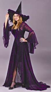 Elegant witch costume includes dress, sheer rose fabric flowing coat 