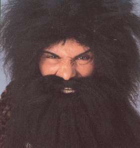 Hagrid Wig and Beard Set, Harry Potter , Favorite Characters, Kids 