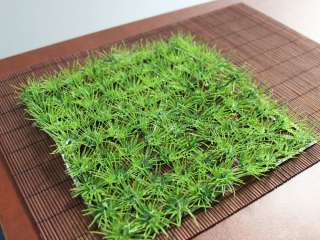 Artificial Plastic Grass Lawn Turf Aquarium Decor 81 2  