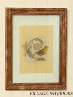 WALL ART VINTAGE FRAMED SET 3 BIRD TRANSPARENCY PRINTS  