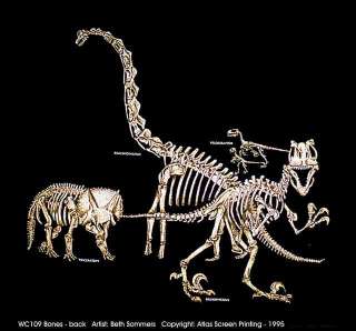 Dinosaur Bones T Shirt New Youth Medium Lo Ship Fossil  