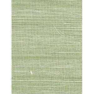   PJ 5253 Bermuda Hemp   Grass Green Wallpaper