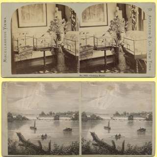 ca 1862 Rare Subject Canary Cages & Birds Inside, Rare D. Appleton 
