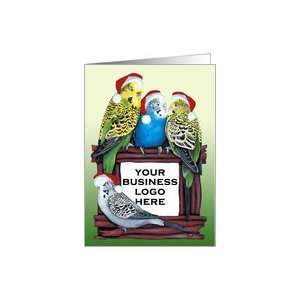  Budgie Parakeet Photo Card YOUR Parrot Aviary Picture or 
