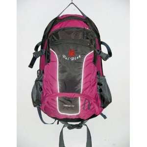 Bag Pack Backpack For Camping Hiking Special Discount  