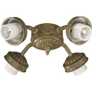  Ceiling Fan Light Kit in Ancient Gold