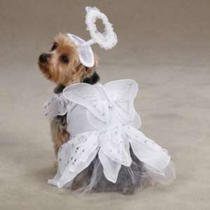 Casual k9 Halloween Pet Costumes Angel Costume for Dogs  