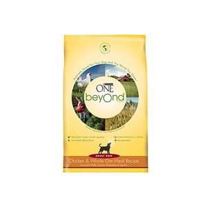 Purina ONE beyOnd Chicken & Oatmeal Dry Dog Food 3.5 lb Case of 6 