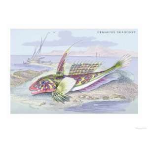   Dragonet Giclee Poster Print by Robert Hamilton, 16x12