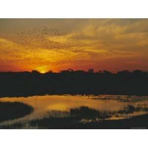  Waterhole at Sunset, Namutoni Camp, Etosha National Park 