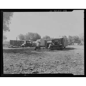  Dorothea Lange, Squatters camp,Bakersfield,California 