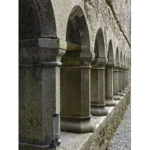 Cloister, Ross Errilly Franciscan Friary, Near Headford, County Galway 