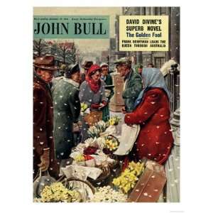 John Bull, Flowers Stalls Snowing Shopping Markets Winter Cold Weather 
