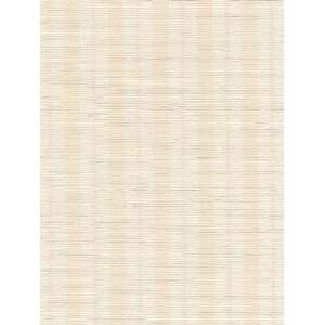   Brewster Grasscloth by Kenneth James 50 65675