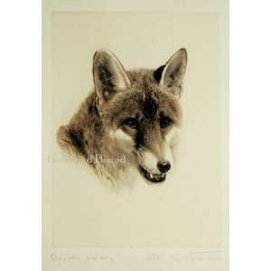    Fox Portrait Art Engraving by Kurt Meyer Eberhardt