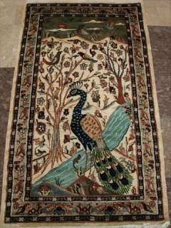 BEAUTY PEACOCK IN JUNGLE BIRD FINE HAND KNOTTED RUG WOOL SILK CARPET 