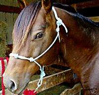 Minature Horse/Pony Custom Made or by AVG Rope Halters  