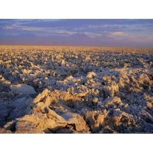  Atacama Salt Flats (Salar De Atacama), Chile, South 