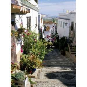  Narrow Street Filled with Flowers and Plants, Salobrena 