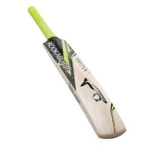  Blade 250 Cricket Bat Men LH